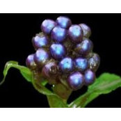 Dory Omnes's photo