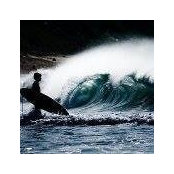 Eli McClintocks foto