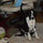 vicki_solury