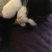 Chrissy Smithson's photo