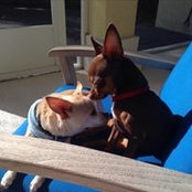 Heather Piermattei's photo