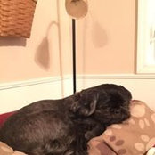 Cathy Medernach Peterson's photo
