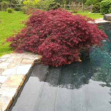Plantings