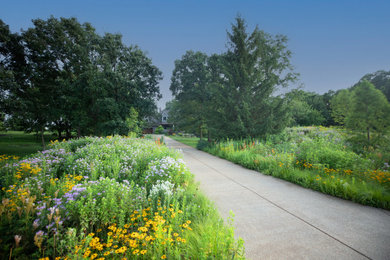 Inspiration for a huge craftsman drought-tolerant front yard flower bed in Chicago.