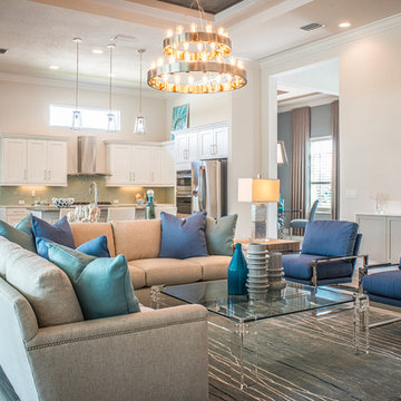 Coastal Florida Homes