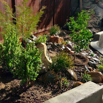 Dwarf Garden
