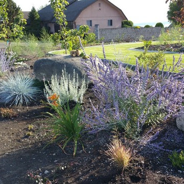 Edible Front Yard