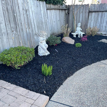 Backyard Landscape Enhancement