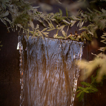 Queen Anne Craftsman - A Garden of Details