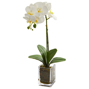 24" Orchid Phalaenopsis Artificial Arrangement in Vase, Cream