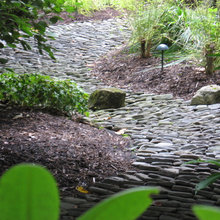 Landscape, french drains