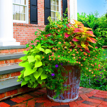 Alluring Entryway Containers