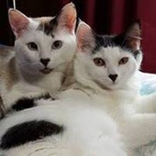 Ruth Darr Martin's photo