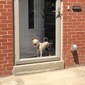 Laura Reedy's photo