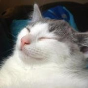 Photo de Darcie F