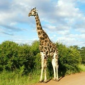 Foto de Michael Strachan