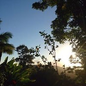 Kaitlyn McGuire's photo