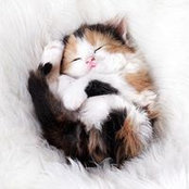 Jackie Denis's photo