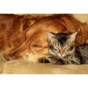 Kelli McGaughey's photo