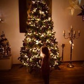 Sarah Rodenstein's photo