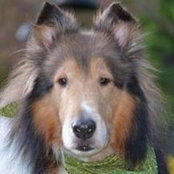 Foto von Phyllis Robinson