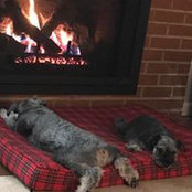 Jimmy Greene's photo