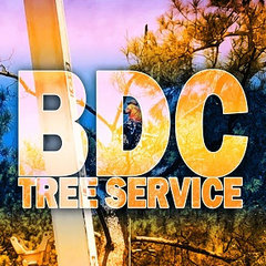 BDC Tree Service