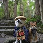 Tran Doan's photo