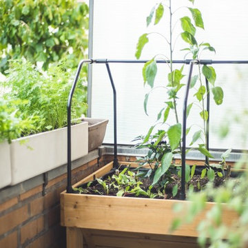 Houzzbesuch bei KRAUT | KOPF