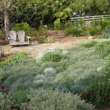 Silver Meadow