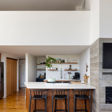 Chicago Modern Kitchen Remodel