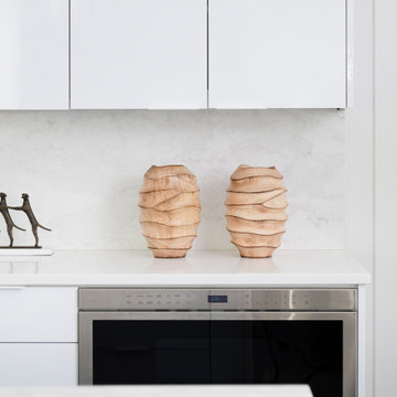 Preston Hollow Modern Minimalist Furnishing