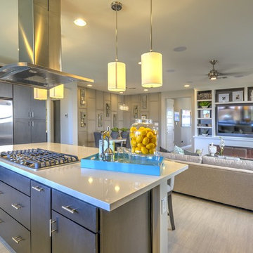 Ambition at Eastmark | Mesa, AZ | 3583 - Hope Plan