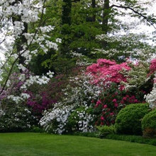 Side Yard