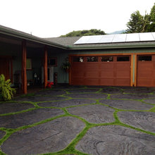 Driveway w moss.