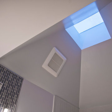Blue Mid-Century Bathroom in Capitol Hill