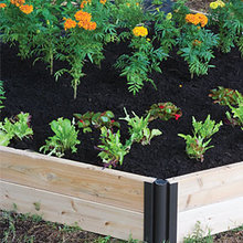 Raised garden beds