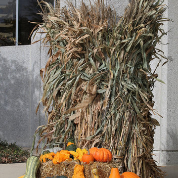Seasonal Display