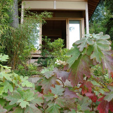 garden plants
