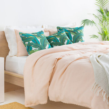 Eco-Home Trends