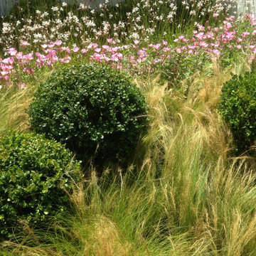 Jardin éphémère