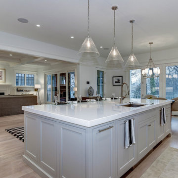 Kitchen & Bathroom Remodel (transitional) - Rockville MD