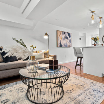 Chestnut Hill Basement Apartment Conversion