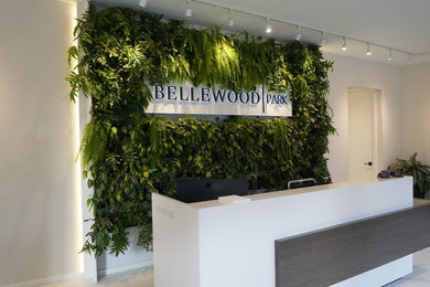 Living Wall Reception Area