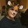 Aline Harreau