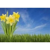 Kim Vargo's photo