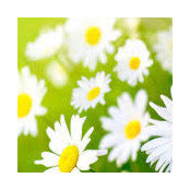 Michele Nauman's photo