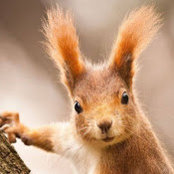 Mary Marshall's photo