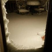 Sherry Mason's photo