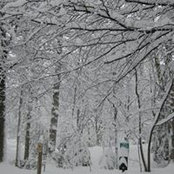 Mark Hurley's photo